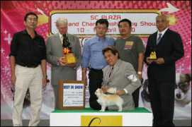 thailanddogshow.com Udomsil