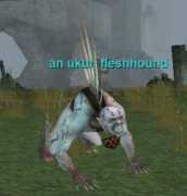 Ukun