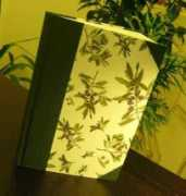 laboratorioliberarte.com Ulivo