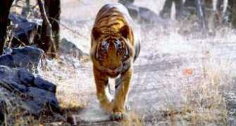 abtaknews.com Uliyana