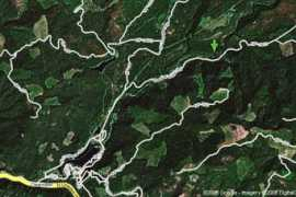 Umpqua