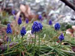 hiroslove.fc2web.com Umusu