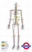Underskin