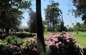 fotothing.com Undurraga