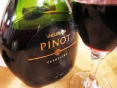 bkwinetours.com Undurraga