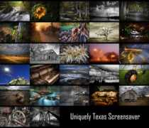 heatwolephoto.com Uniquely