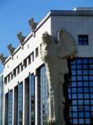 panoramio.com Universitaire
