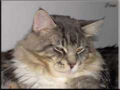 minowis.koasi.free.fr Unjah