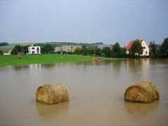 Ustane