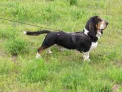 klickitat.org Uthant