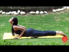 article.wn.com Vaddiparthi