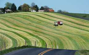 photos.dnronline.com Vahar