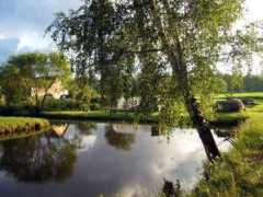Vahel