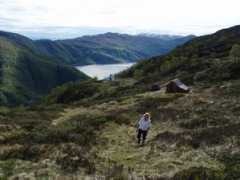 Vaksdal
