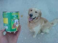 sangrefria.com Valdanito