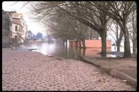 jesuseugenioe.bligoo.com Valdiviano