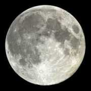 repubblica.it Valesini