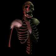 forums.wesnoth.org Valkiers