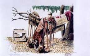 robertpacekidd.com Vallencia