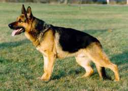 saunalahti.fi Valpas