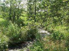 naturturist.dk Valsgaard