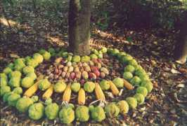 donnedelbosco.it Valtingojer