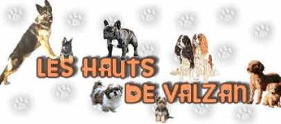 valzan.fr Valzan