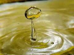 vanezandrade.bligoo.com Vanecita