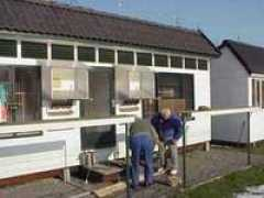 cbspigeon.com Vanelsacker