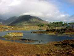 irishcorner.com Vangilbergen
