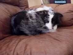 nicolevanputten.com Vanputten