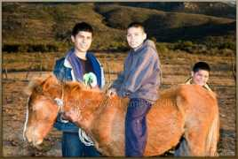 Vaqueros