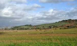 Varacca