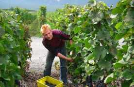 varonier.ch Varonier