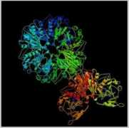 laguna.fmedic.unam.mx Vellieux