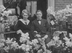 brouwertree.com Velsink