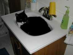 alumnus.caltech.edu Velsink