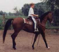 Vercy