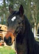 Vercy
