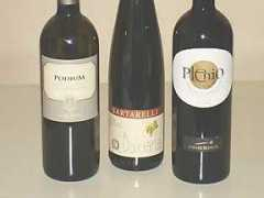 diwinetaste.com Verdicchio