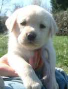 naissant33.free.fr Verlena