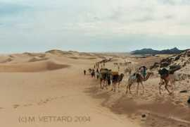 saharadecouverte.free.fr Vettard