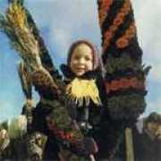 Viarba