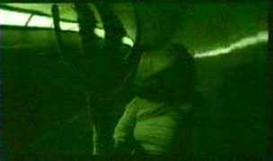 fusionanomaly.net Vibel