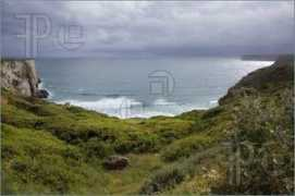 Vicentin