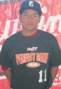perfectgame.org Viceral