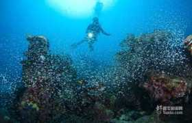 maldives.tuniu.com Vidhun