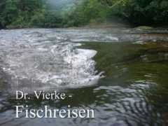 fisch.surfino.info Vierke