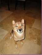 fitnessista.com Viesser