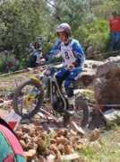 todotrial.com Vigario